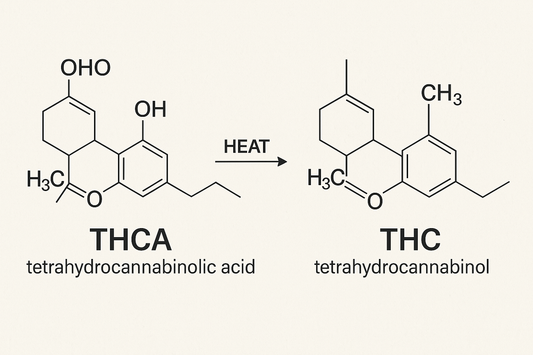What's the difference between THCA and THC?