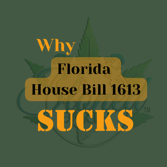 why Florida House Bill 1613 Sucks