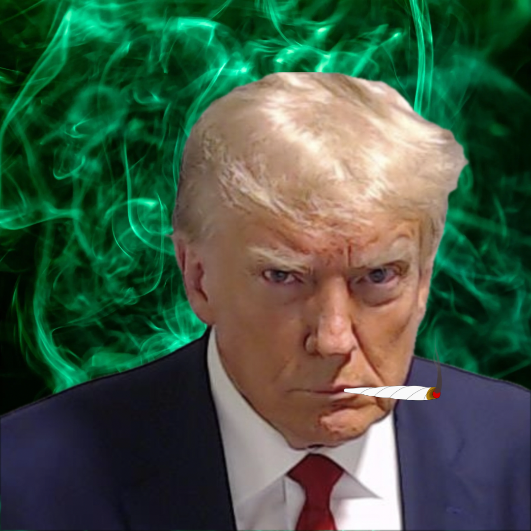 What's President Trump's Stance on Cannabis?